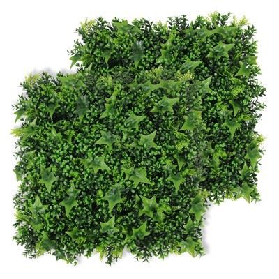 Khoom Noj Khoom Haus Ntshav Ntsuab Sab Nraum Sab Nraum Sab Nraum Sab Sab Sab Hnub Sab Sab Caj Sab Nrauv Vaj Sab Sab Vaj Huam Sib Luag Nyom Vaj Huam Sib Luag