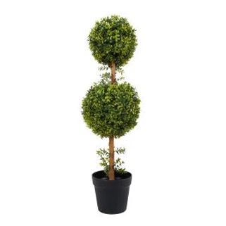 Khoom cuav Nyom Boxwood Tsob Ntoo Nroj Tsuag